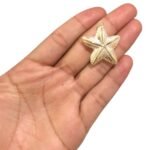 Pingente Estrela Do Mar 28x32mm Abs - 20 Gramas - Imagem 2