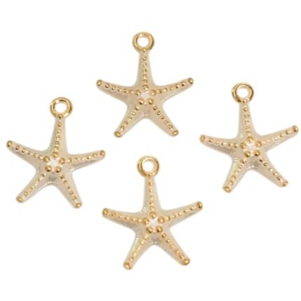 Pingente Estrela Do Mar 29x33mm Abs - 20 Gramas