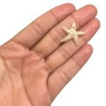 Pingente Estrela Do Mar 20x23mm Abs – 20 Gramas - Imagem 2