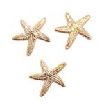 Pingente Estrela Do Mar 20x23mm Abs – 20 Gramas