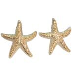 Pingente Estrela Do Mar 48mm Abs – 20 Gramas