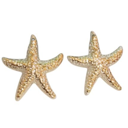Pingente Estrela Do Mar 48mm Abs – 20 Gramas
