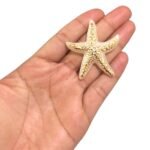 Pingente Estrela Do Mar 48mm Abs – 20 Gramas - Imagem 2