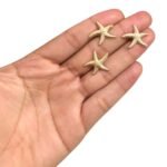 Botão Estrela Do Mar 20mm Dourado - 1 Und - Imagem 2