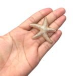 Botão Estrela Do Mar 50mm Dourado – 1 Und - Imagem 2