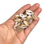 Conta Entremeio Búzio 20mm Resina – 20 Gramas - Imagem 2